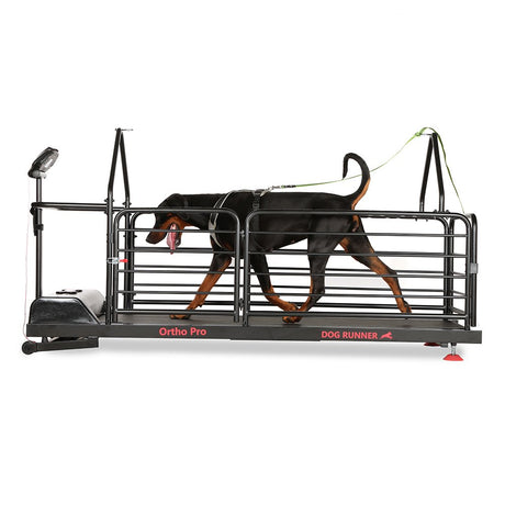 Dog Runner Ortho Pro Electric Treadmill