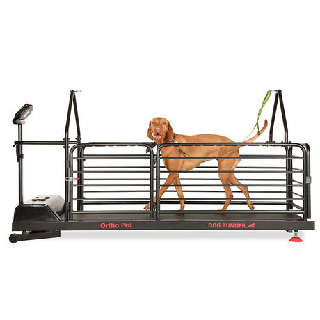 Dog Runner Ortho Pro Electric Treadmill