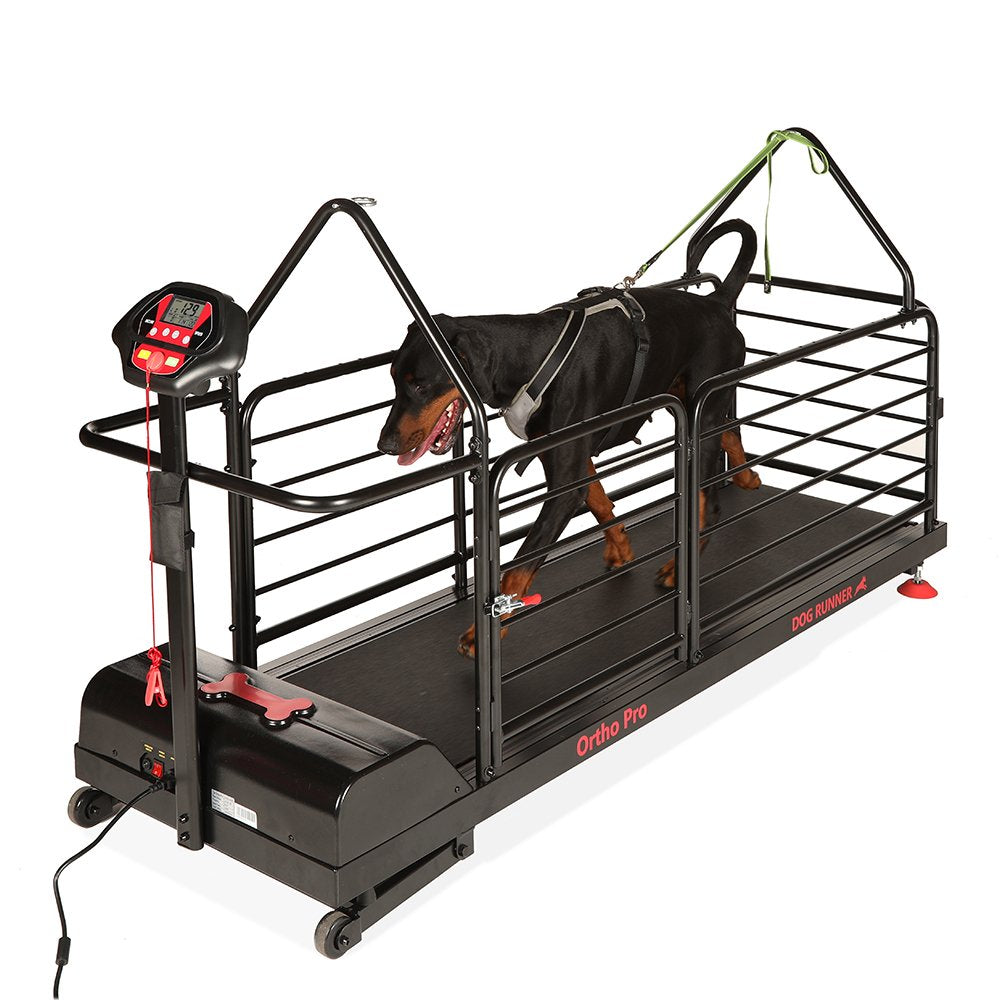 Dog Runner Ortho Pro Electric Treadmill