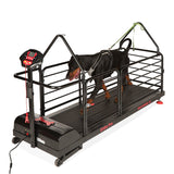 Dog Runner Ortho Pro Electric Treadmill