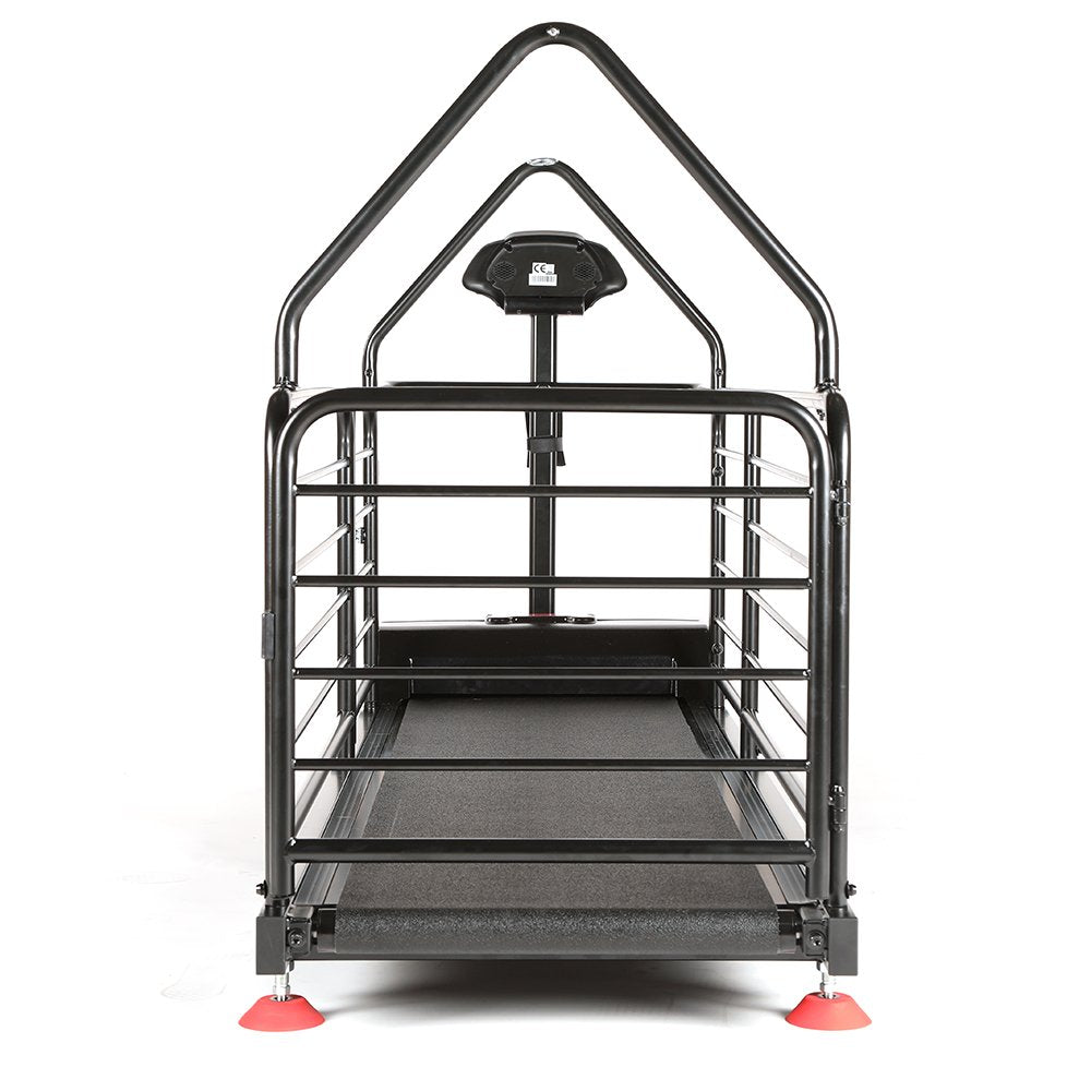 Dog Runner Ortho Pro Electric Treadmill