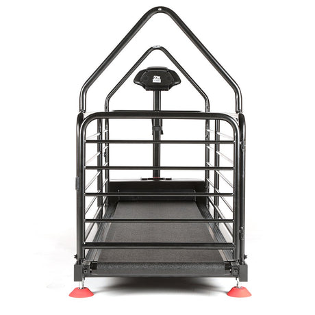 Dog Runner Ortho Pro Electric Treadmill