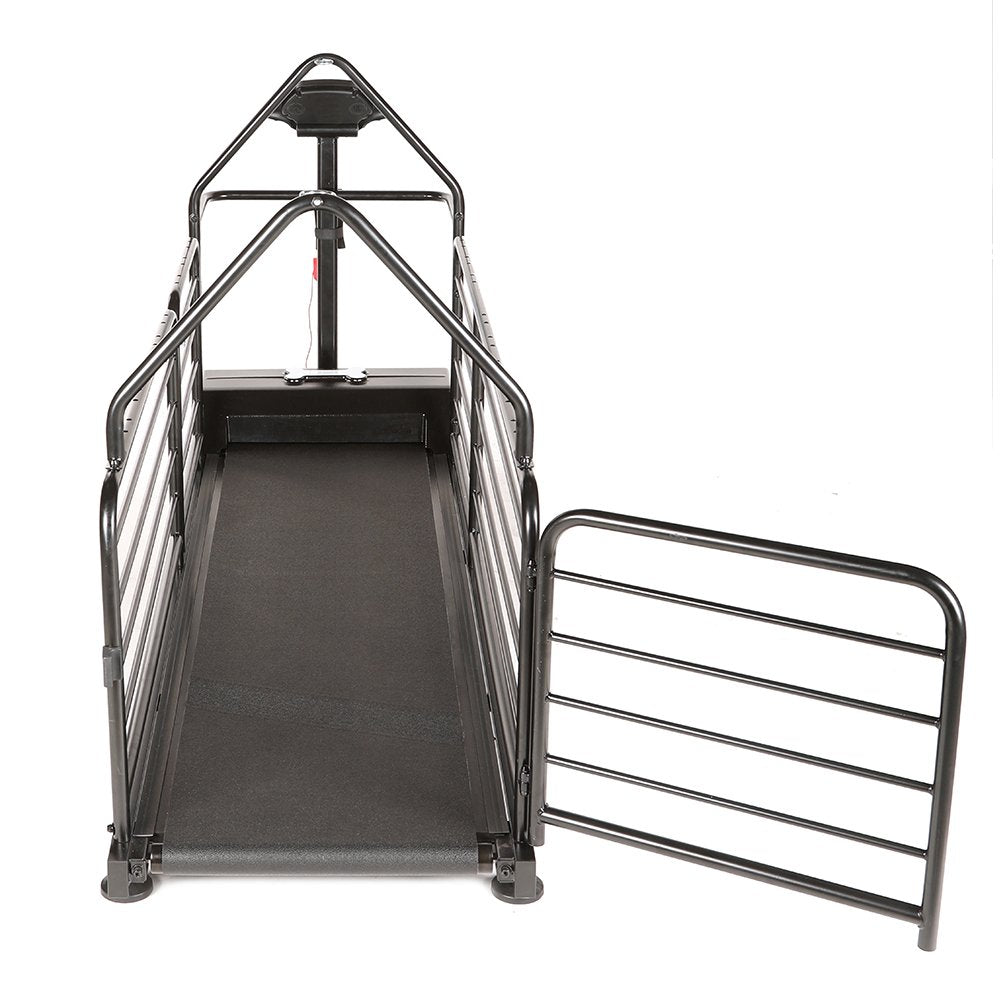 dog runner revolution pro treadmill