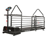 dog runner revolution pro treadmill