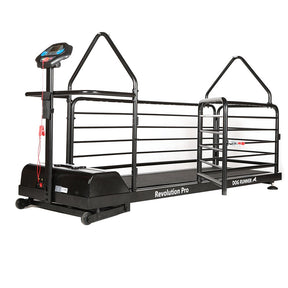 dog runner revolution pro treadmill