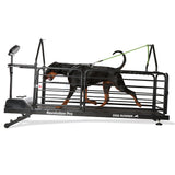 dog runner revolution pro treadmill