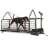 dog runner revolution pro treadmill