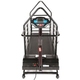 dog runner revolution pro treadmill