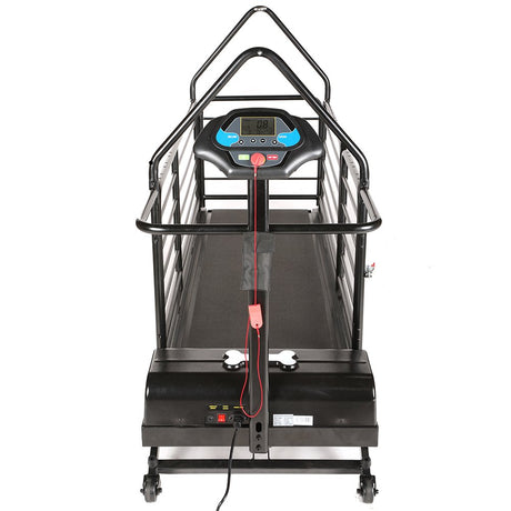 dog runner revolution pro treadmill
