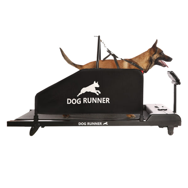 Dog Runner Tracks Electric Treadmill Canine Athletes