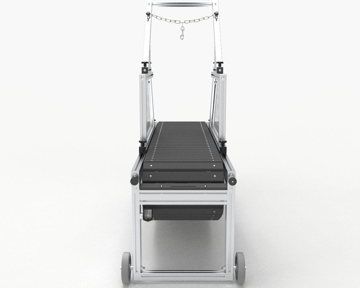 Dog Trotter USA Classic Pro Slatmill Treadmill