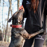 Canine Athletes Tactical Field Jacket