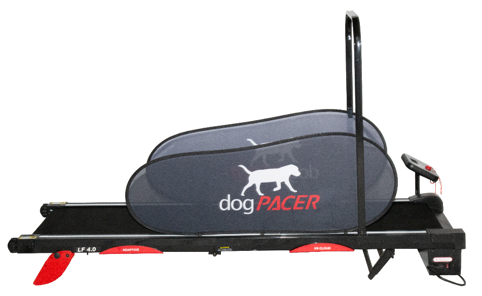 dogPacer 4.0 Electric Dog Exercise Treadmill