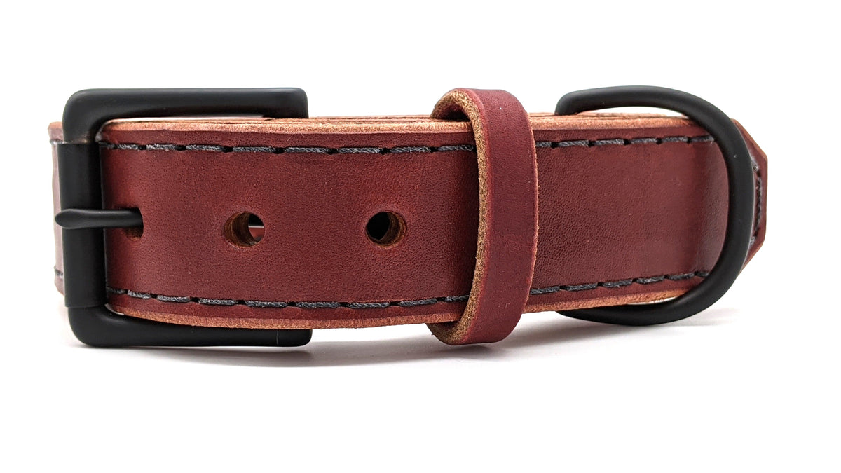 Canine Athletes Leather Agitation Collar