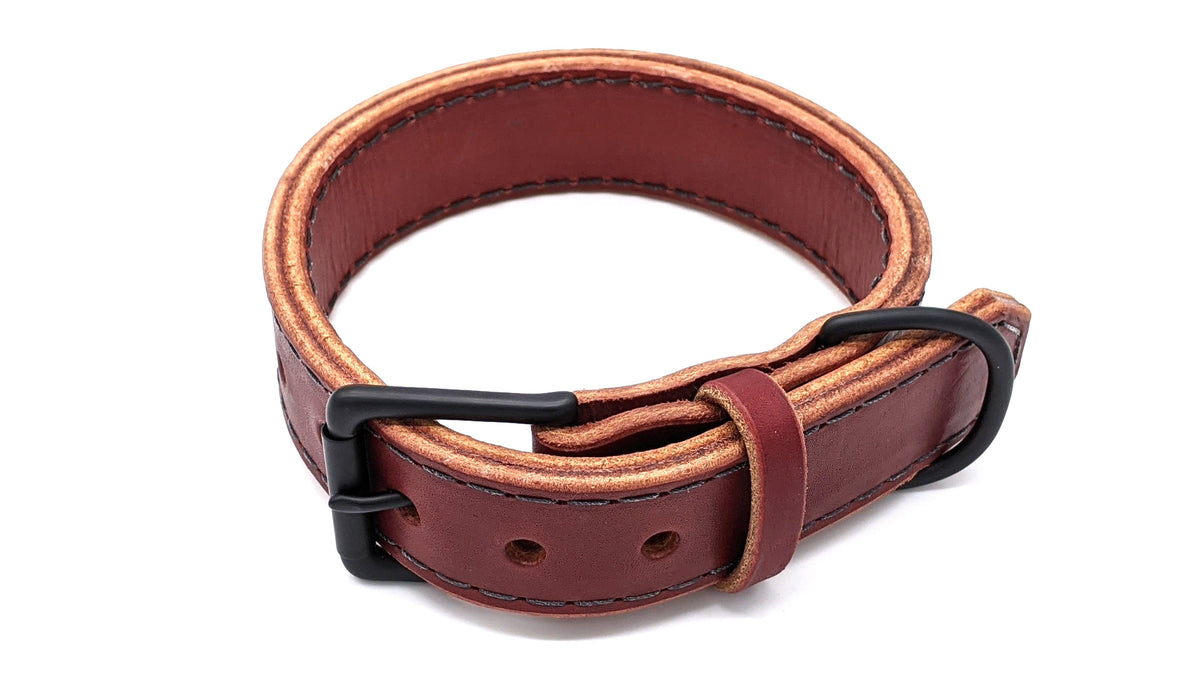 Canine Athletes Leather Agitation Collar