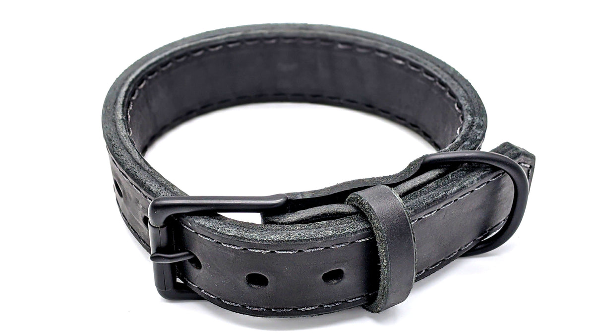 Canine Athletes Leather Dog Collar