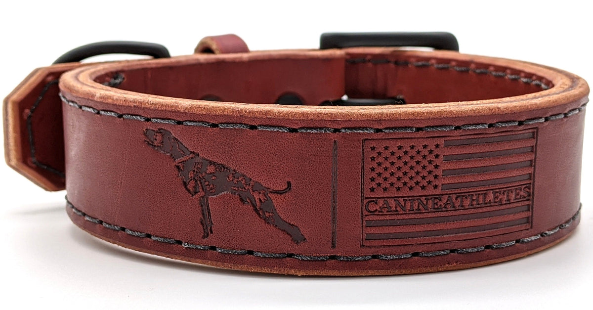 Canine Athletes Leather Agitation Collar
