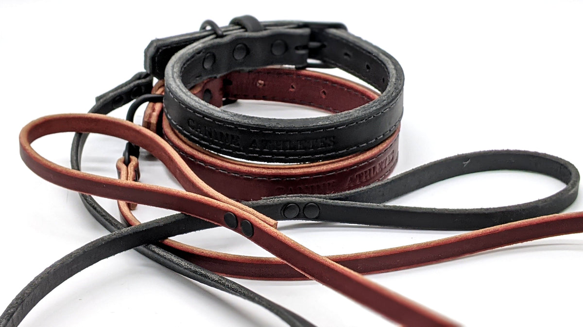 Canine Athletes Leather Dog Equipment