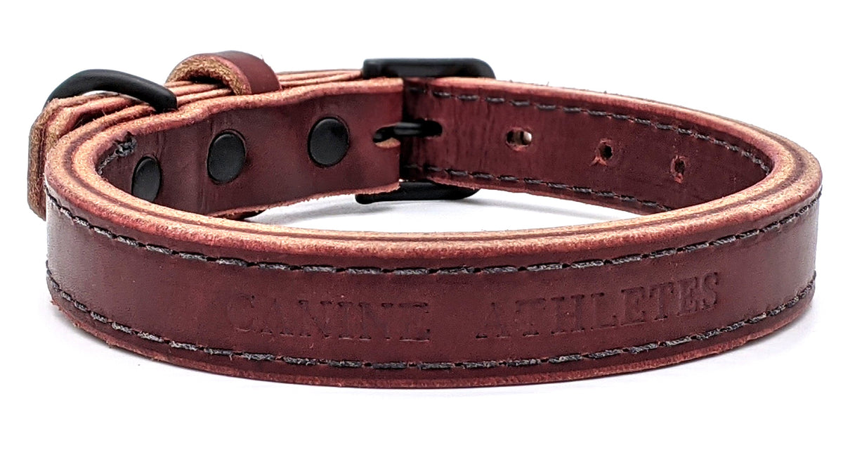 Canine Athletes 1&quot; Leather Dog Collar