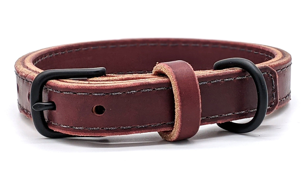 Canine Athletes 1&quot; Leather Dog Collar