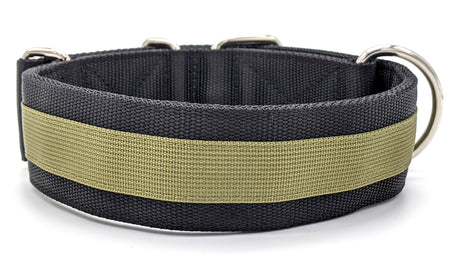 Canine Athletes Pro- HD 2" Dog Collar