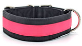 Canine Athletes Pro- HD 2" Dog Collar