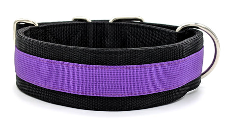 Canine Athletes Pro- HD 2" Dog Collar
