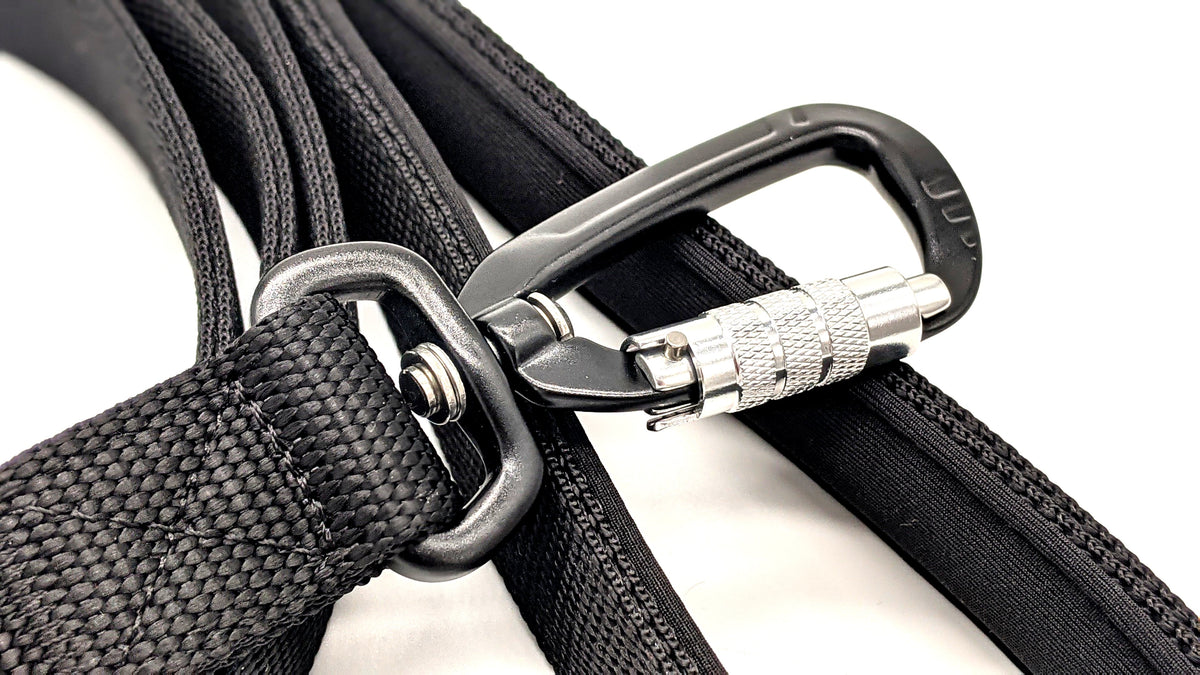 Canine Athletes Elite-HD 10 Feet Dog Leash