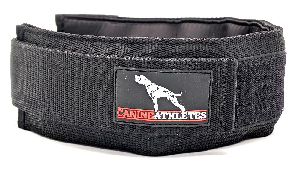 Canine Athletes Elite-HD Weighted Dog Collar