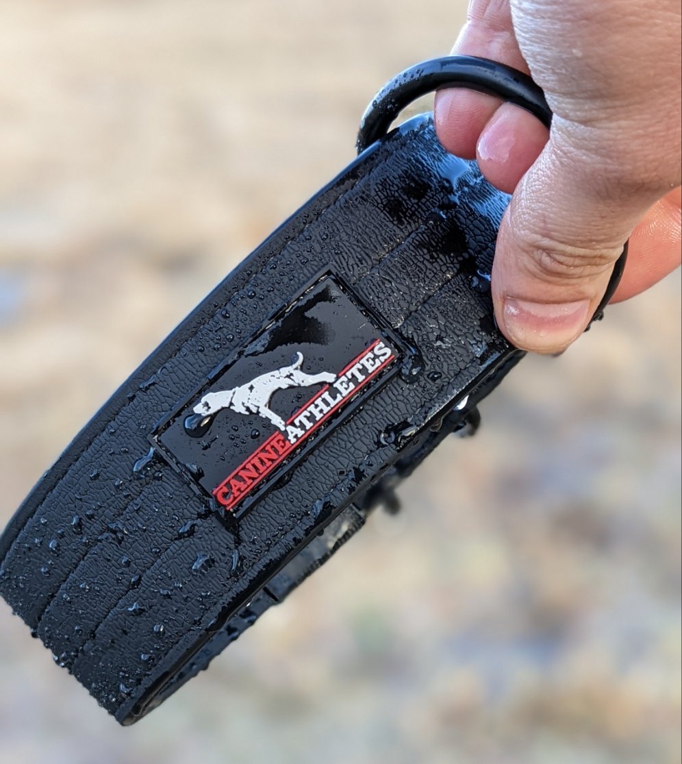 Canine Athletes Waterproof AP-Sport Dog Collar