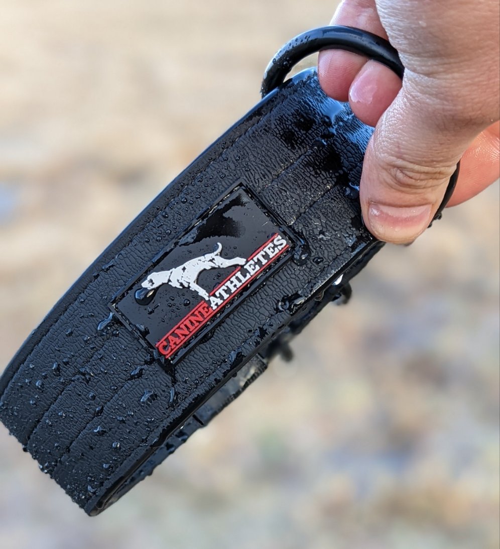 Canine Athletes Waterproof AP-Sport Dog Collar