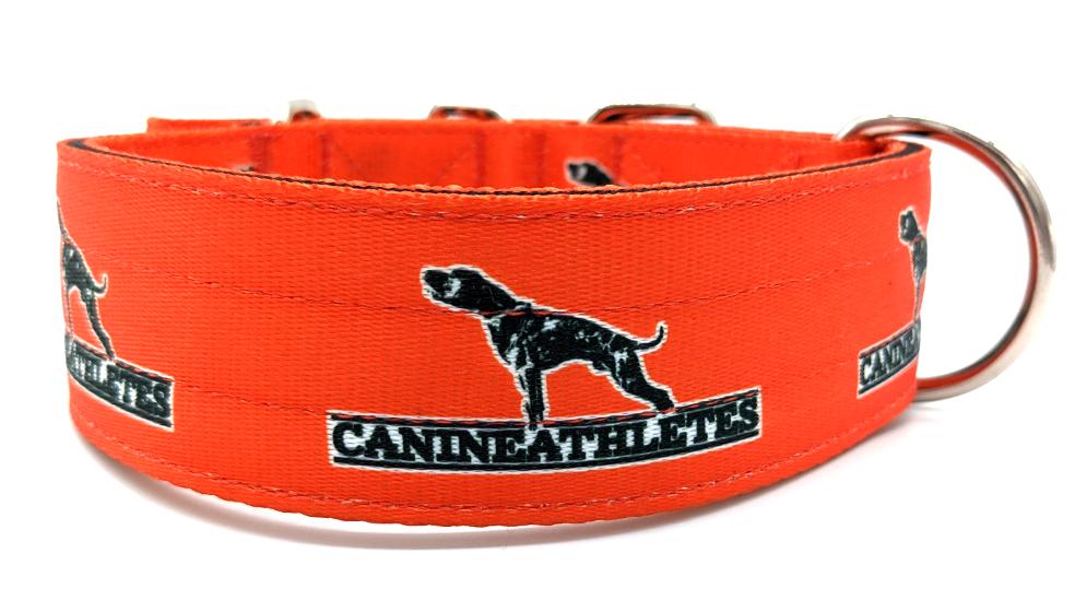 Canine Athletes Blaze Orange Dog Collar