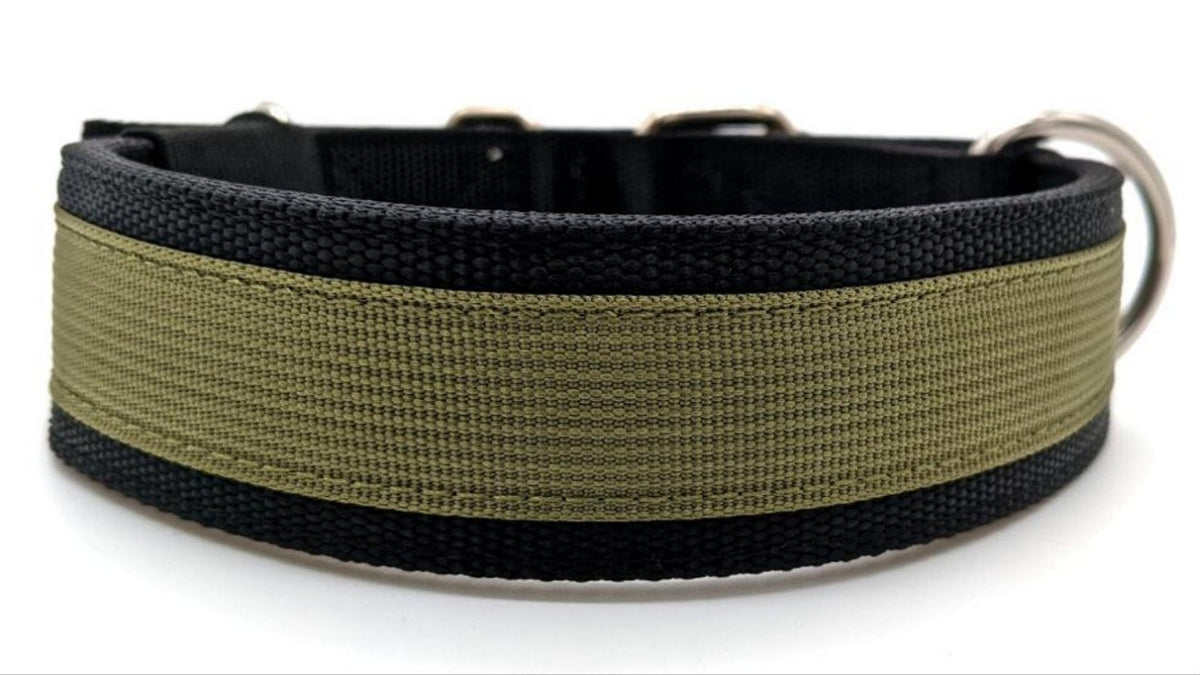 Canine Athletes 1.5&quot; Pro-HD Dog Collar