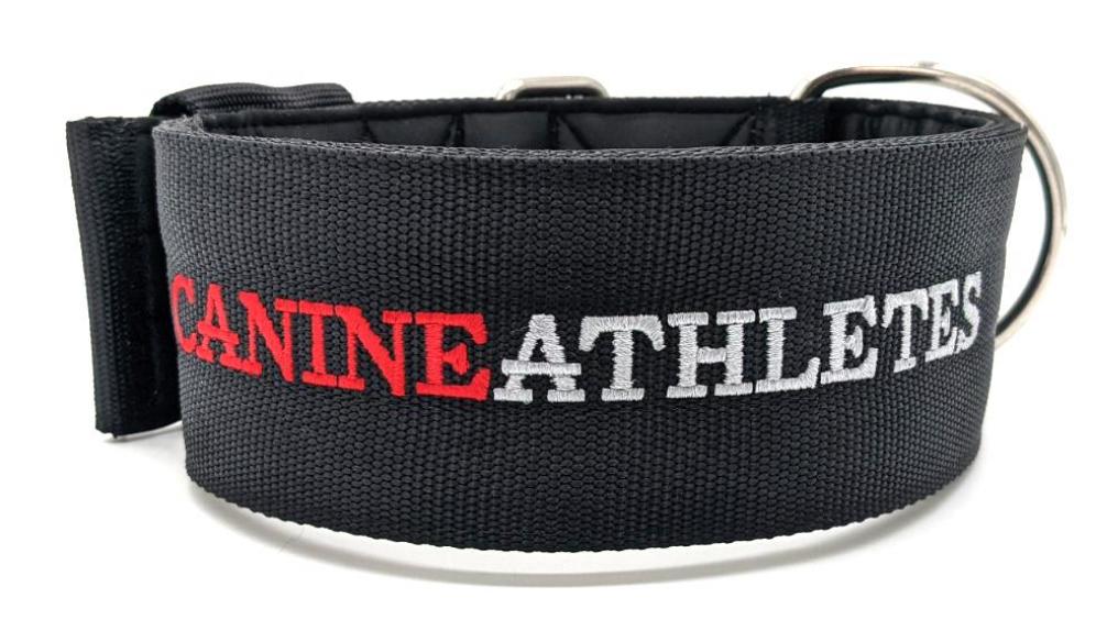 Canine Athletes 2.75" Dual Pin Neoprene Padded Dog Collar