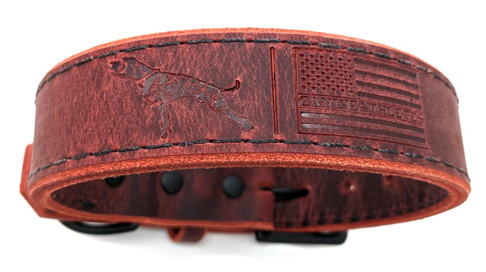 Canine Athletes X TGR Oxblood Water Buffalo Leather Agitation Dog Collar