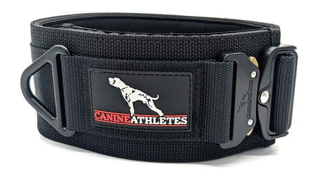Canine Athletes 3" Venator Working Dog Collar