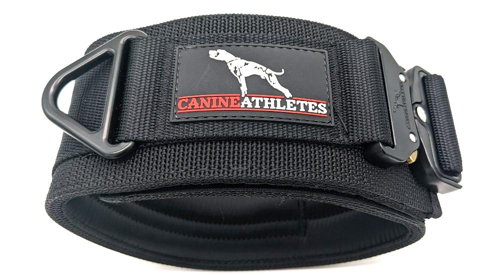 Canine Athletes 3" Venator Working Dog Collar