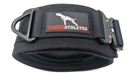 Canine Athletes 3" Venator Working Dog Collar