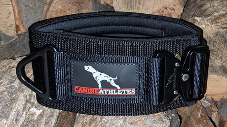 Canine Athletes 3" Venator Working Dog Collar
