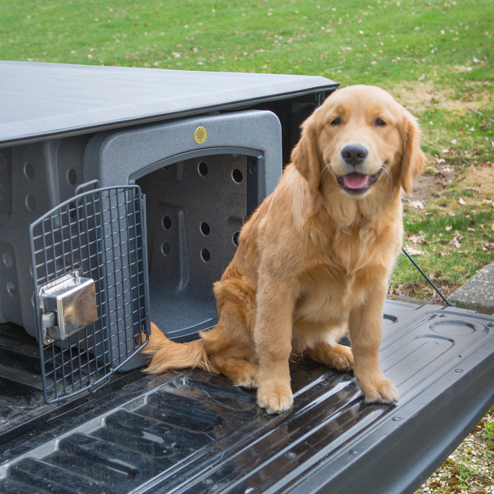 Dakota 283 T1 Low Profile Hunting Dog Kennel Crate – Canine Athletes