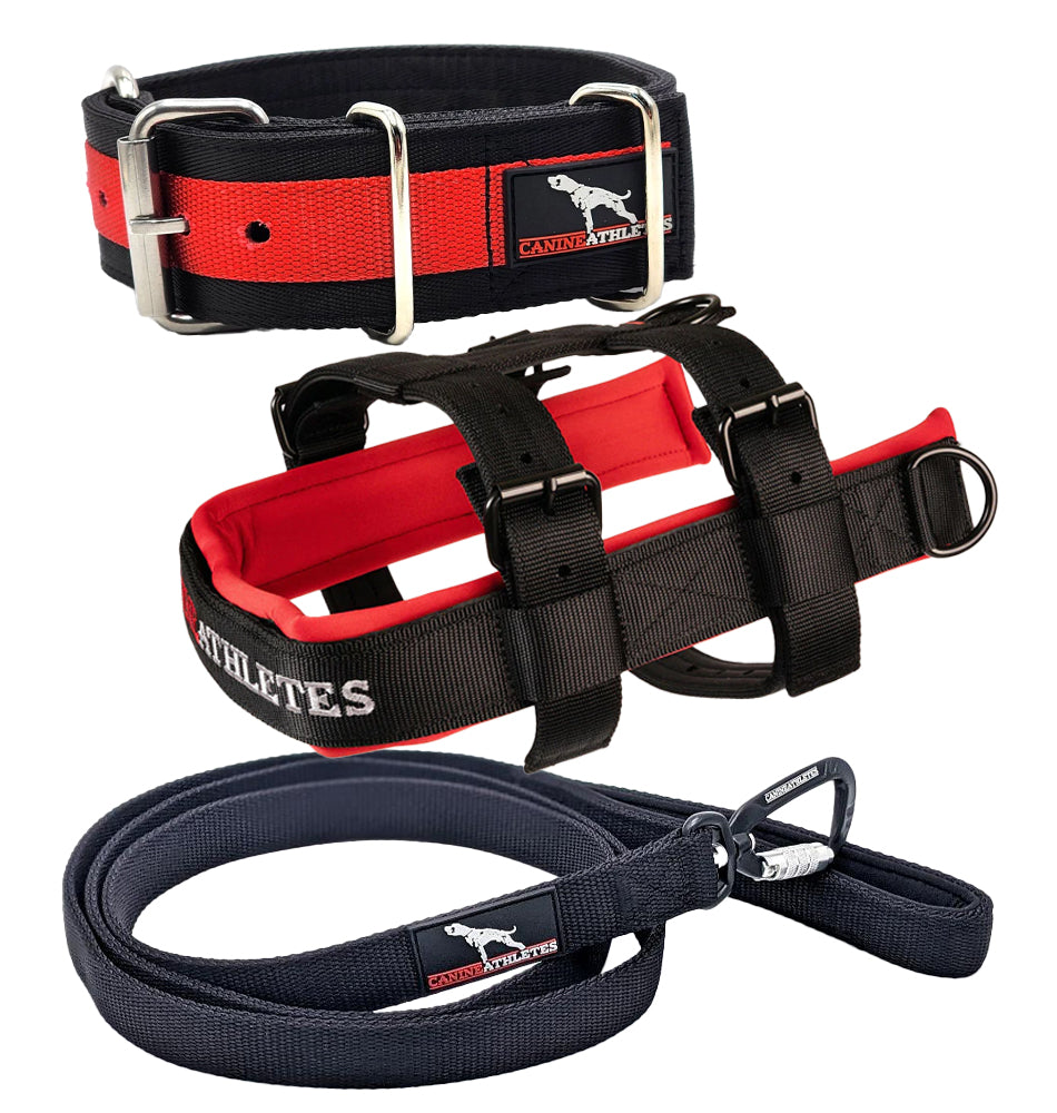 CANINE ATHLETES ELITE-HD MAX ESSENTIALS COMPETITION BUNDLE