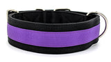 Canine Athletes 2" Pro- HD Heavy Duty Working Dog Collar Black Purple Back
