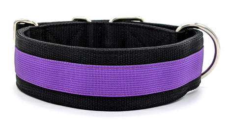 Canine Athletes 2" Pro- HD Heavy Duty Working Dog Collar Black Purple Back