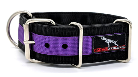 Canine Athletes Pro- HD 2" Heavy Duty Working Dog Collar Black Purple