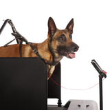 Dog Runner Tracks Electric Exercise Treadmill
